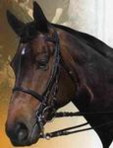 Obrazek