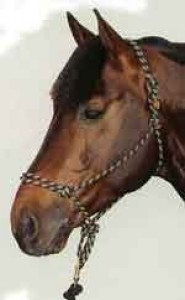 Obrazek